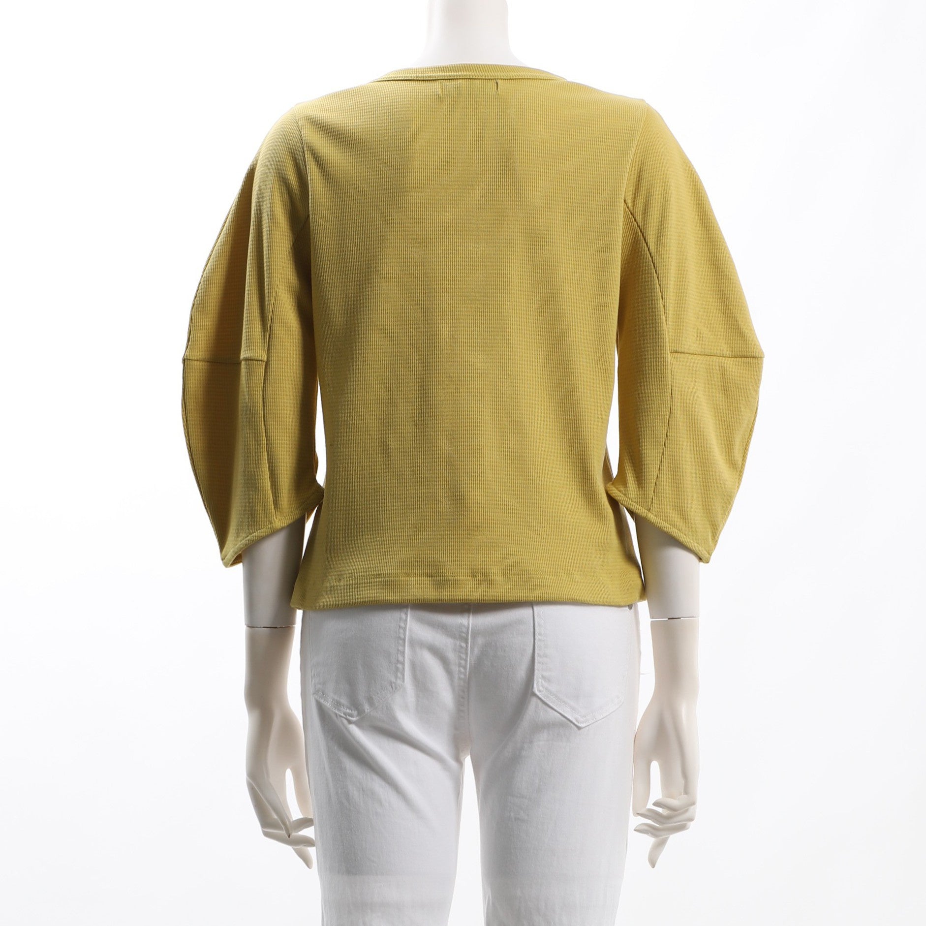 【L】カラーパンツカジュアルBOX