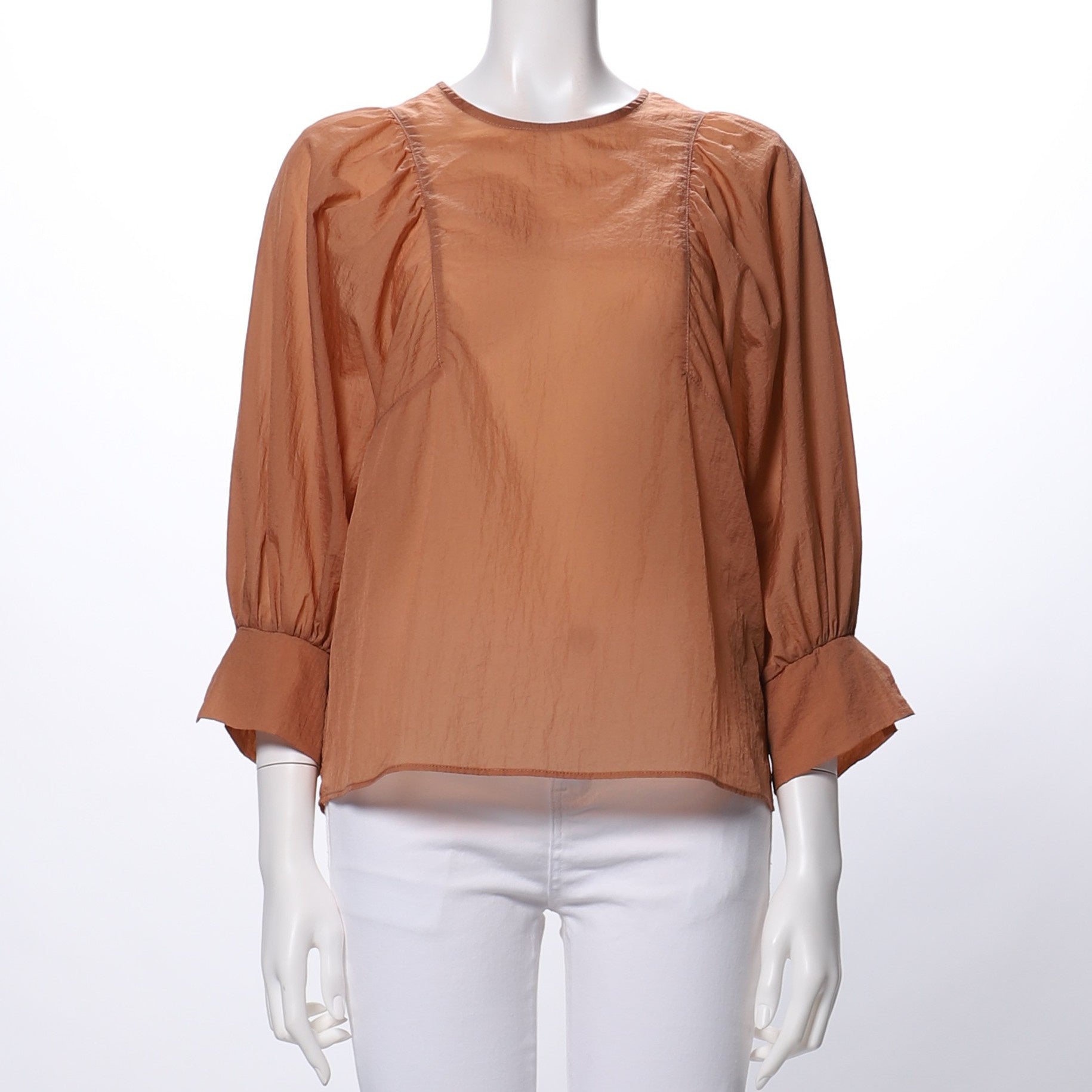 シアー感パフスリーブブラウス