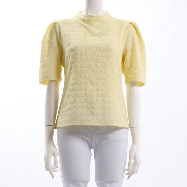 特徴のある表面感のパフスリーブブラウス