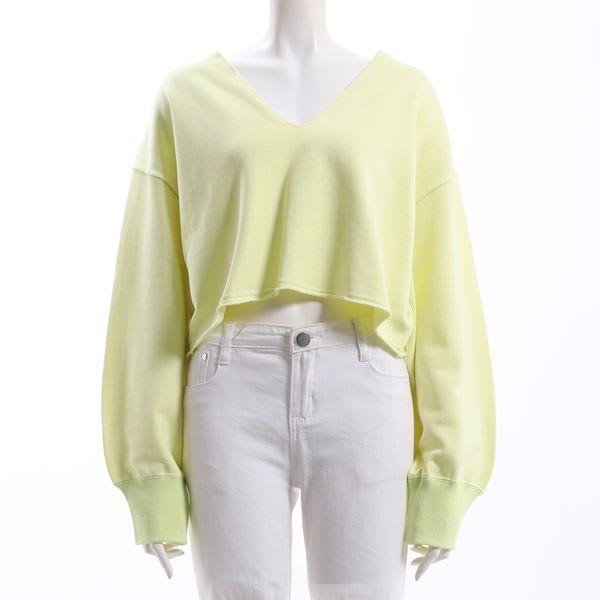 短め丈Vネックカットソー