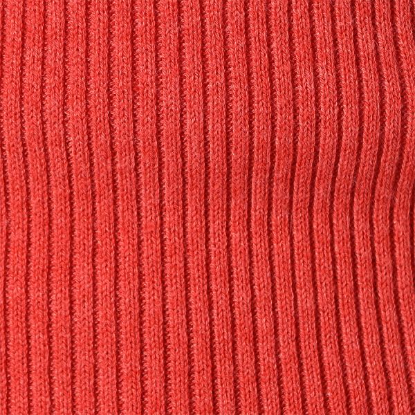 シンプルタートルネックリブニット