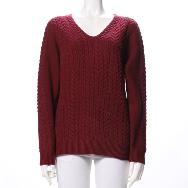 アラン柄ケーブル編みVネックニット