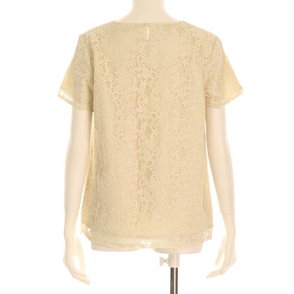 総レースブラウス