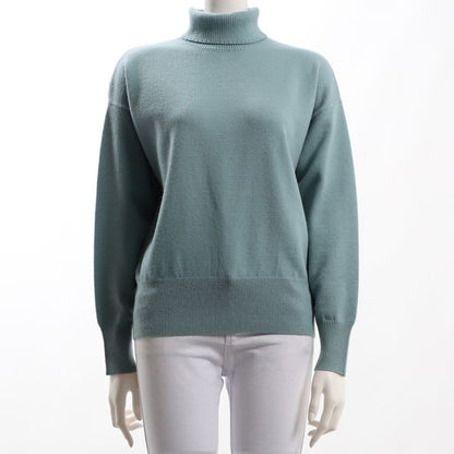 バックシームデザイントタートルネックニット