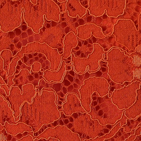 袖フレアレースブラウス