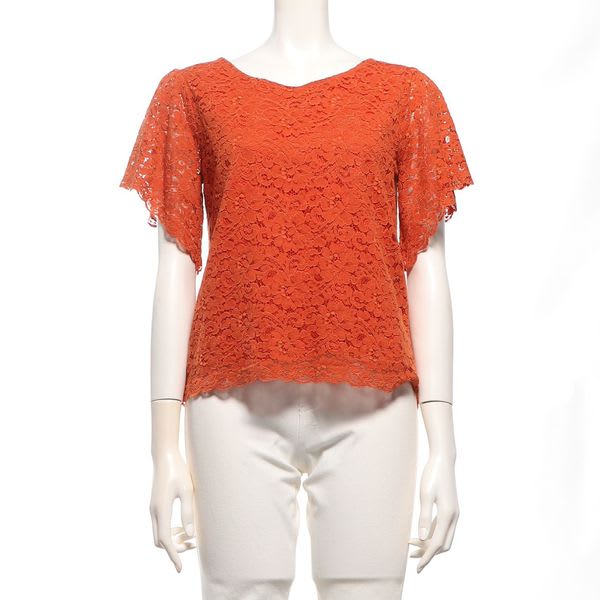 袖フレアレースブラウス