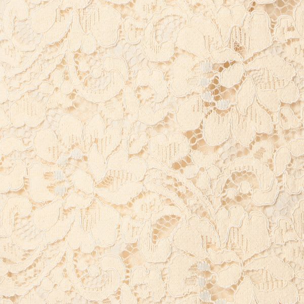 袖フレアレースブラウス