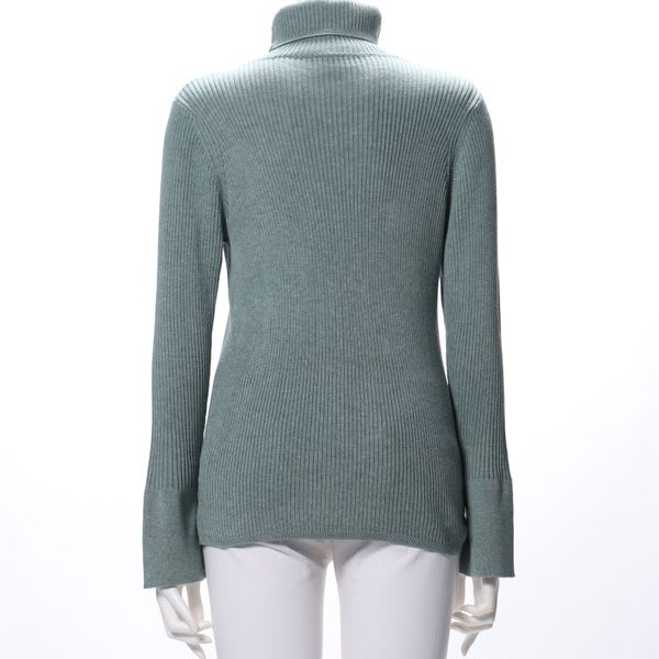 タートルネックリブニット