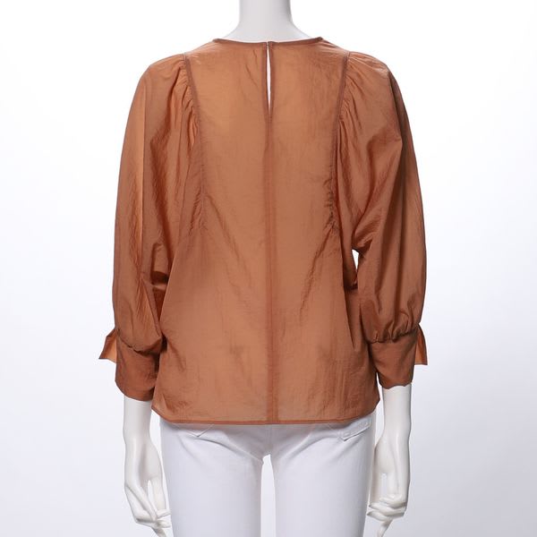 シアー感パフスリーブブラウス