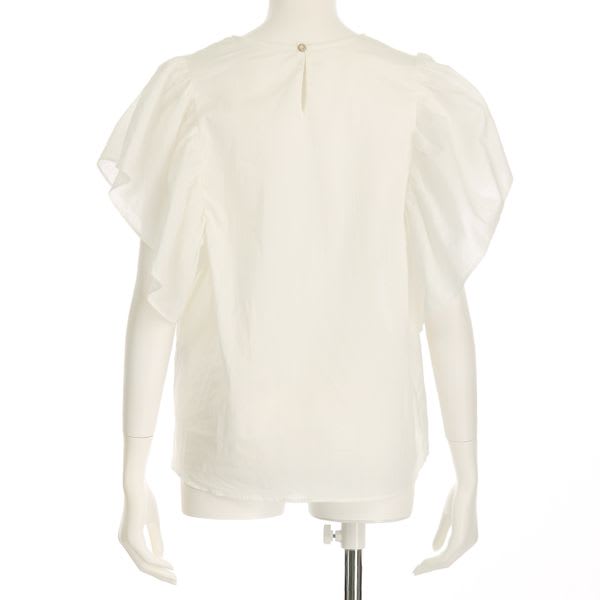 ピンタックフレアスリーブブラウス