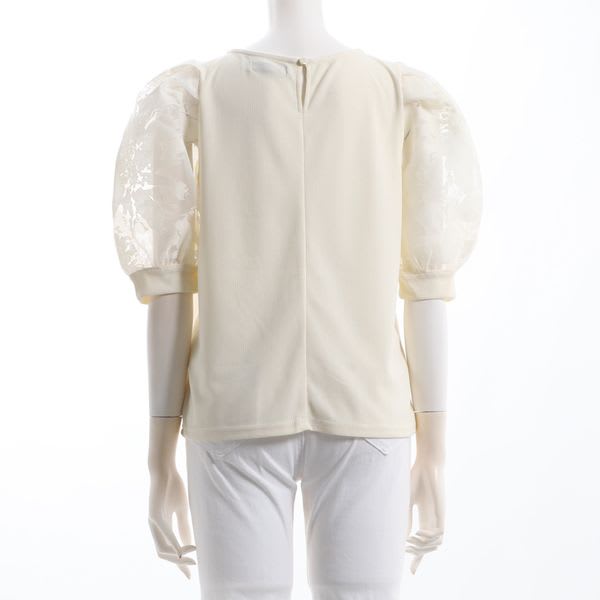 シアーパフスリーブブラウス