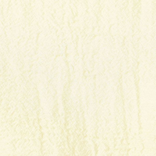 ふんわりスリーブシアーブラウス