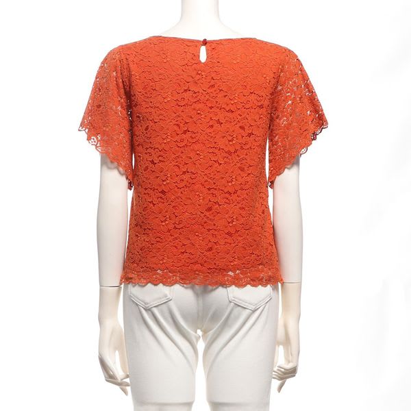 袖フレアレースブラウス