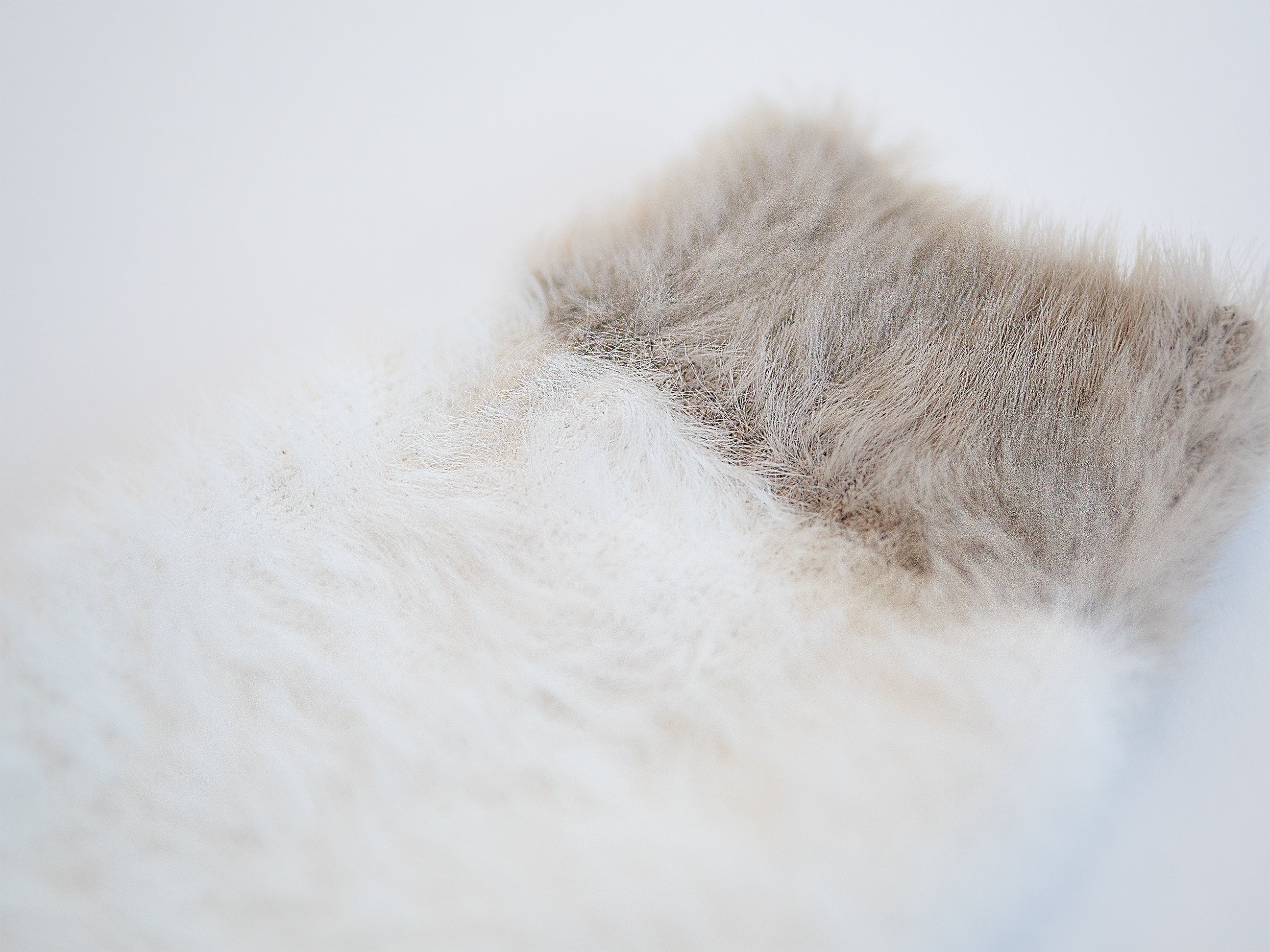 ブーツファーカバー【ホワイト】